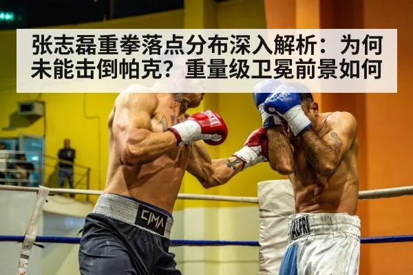 张志磊重拳落点分布深入解析：为何未能击倒帕克？重量级卫冕前景如何