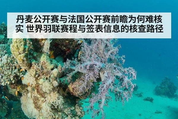 丹麦公开赛与法国公开赛前瞻为何难核实 世界羽联赛程与签表信息的核查路径