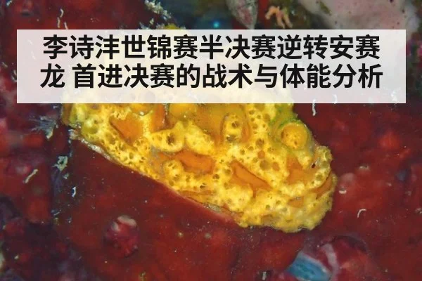 李诗沣世锦赛半决赛逆转安赛龙 首进决赛的战术与体能分析